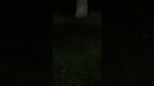 Милиционер Самарканда слишком превысил свои полномочия! смотреть онлайн
