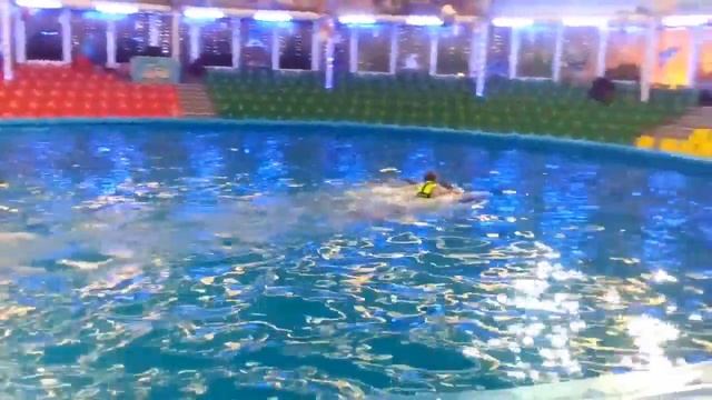 Минский дельфинарий. Купание с дельфинами (Алеша и Алиса) смотреть онлайн