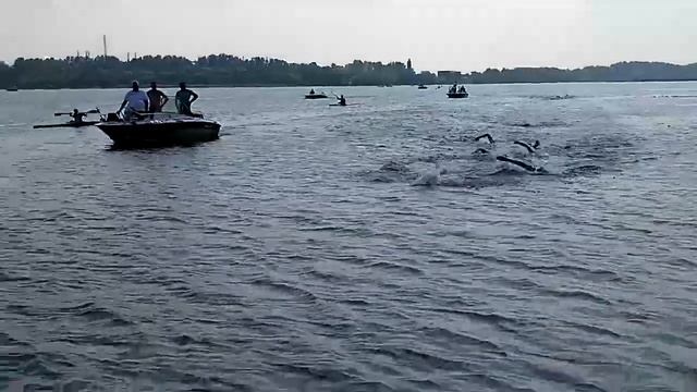 женский финиш Кубка в открытой воде смотреть онлайн
