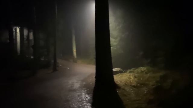 11 stündige Folter-Fahrt durch die Hölle смотреть онлайн