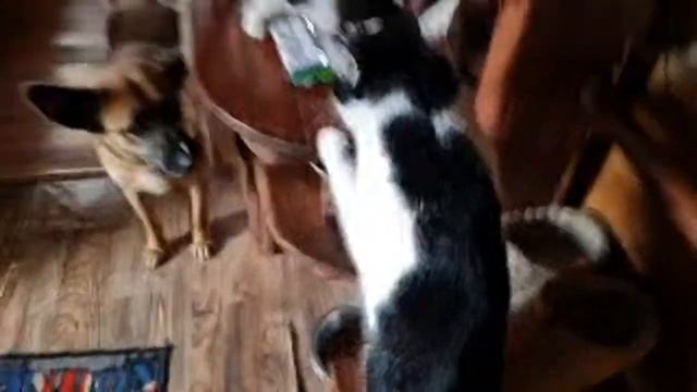 Стрим в солнечный февральский денёк смотреть онлайн