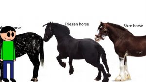 Equids size comparison (ft. @KuyaEthanStickman )