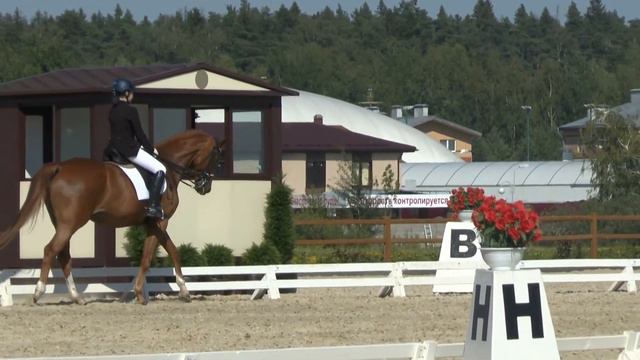 Kamila Baygulova+Ervik, КСК Новый век, EQUI-2, 70,990% - 1 место смотреть онлайн