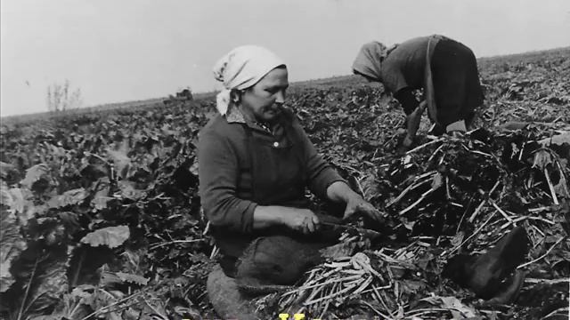 03 Прасковья Осиповна смотреть онлайн