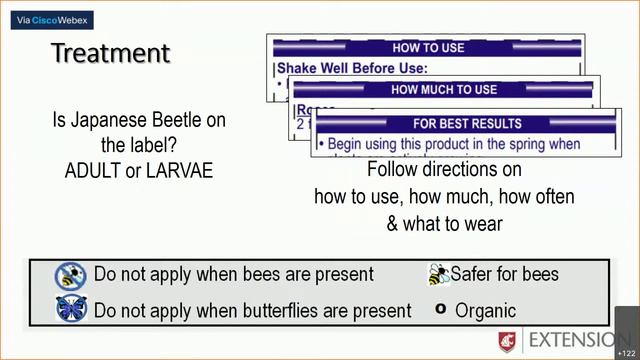 Japanese beetle - Helping WSU Master Gardeners answer homeowner questions смотреть онлайн