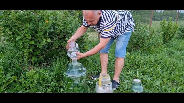 Экстракт БОЛОТНАЯ МУДРОСТЬ погрузись! смотреть онлайн