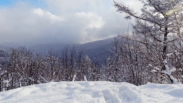 20 минут красивой романтической музыки на фортепиано ~ Музыка для медитации смотреть онлайн