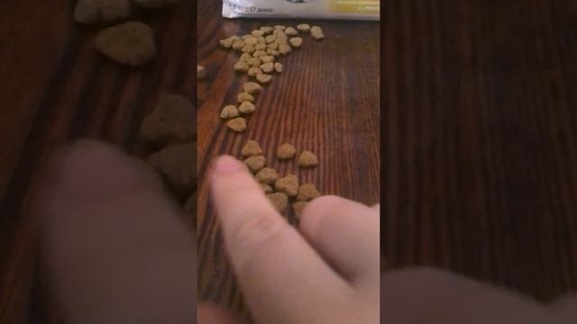 Корм PURINA ONE (кости в корме) смотреть онлайн