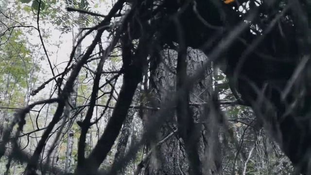 VID 20220926 110934 Крик часового (К. Бальмонт)...Павел Васильев Лахтинский смотреть онлайн