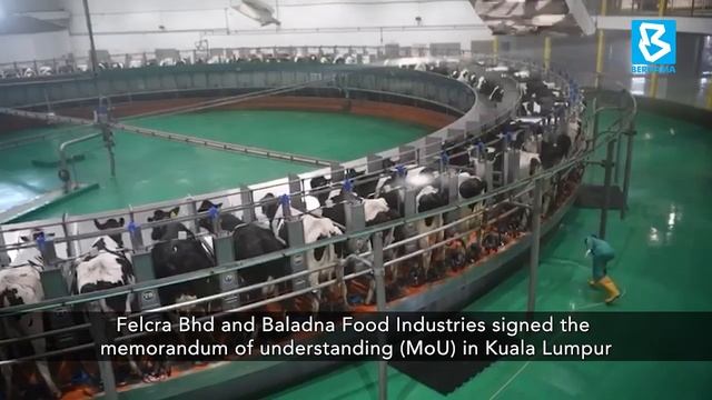 Dr M visits Qatar's dairy company Baladna смотреть онлайн