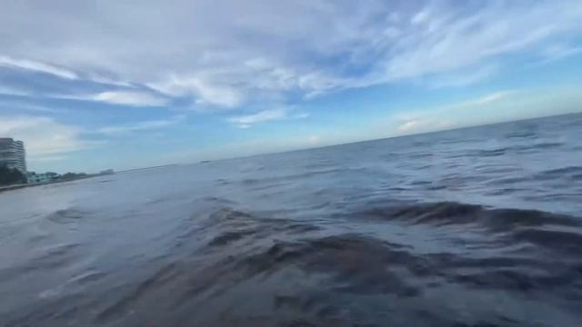 Майами Флорида, Атлантический океан и саргассовые водоросли смотреть онлайн