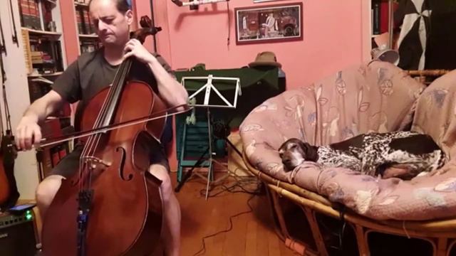 Besame Mucho (C. Velázquez), on Cello смотреть онлайн