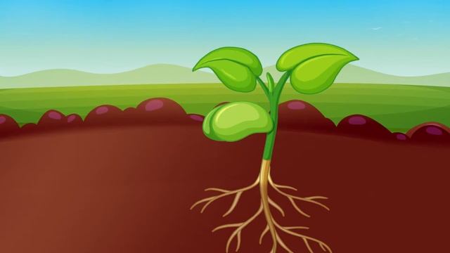 ? Что такое Кремний? Органический препарат | Анимационный видеоролик смотреть онлайн