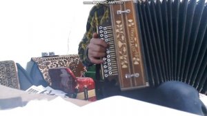 Черные глаза на гармони