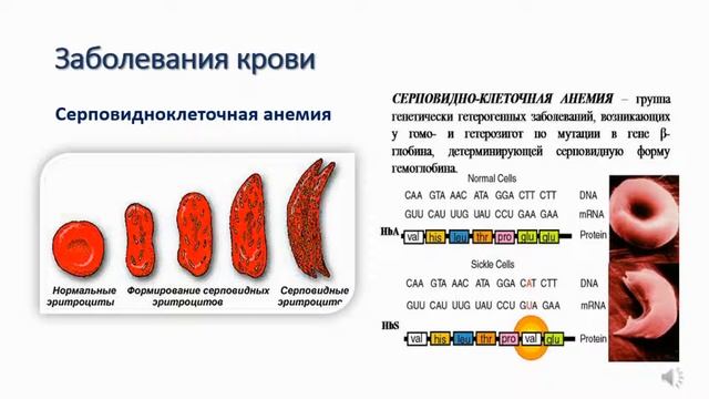 Лучший бюджет