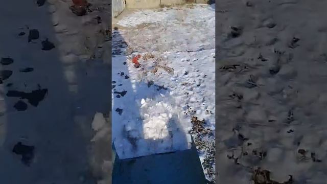 Скребок 2 часть . Готов смотреть онлайн