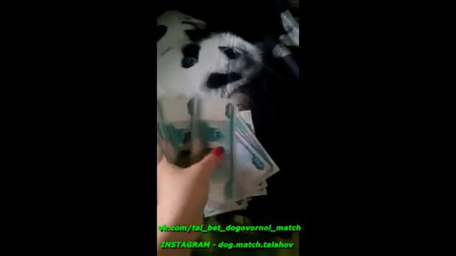 ОТЗЫВ КЛИЕНТКИ ЗА ДОГОВОРНОЙ МАТЧ 26.04.18/ Договорные матчи. Ставки на спорт. Точный счет. смотреть онлайн