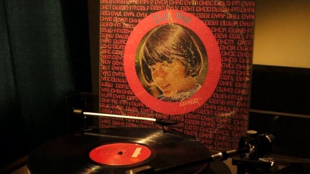 Sharon Cuneta – Mr DJ смотреть онлайн
