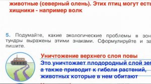 Страница 38 Рабочая тетрадь по окружающему миру за 4 класс 1 часть Плешаков Школа России