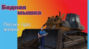 Бедная мышка. Песня про жизнь.
