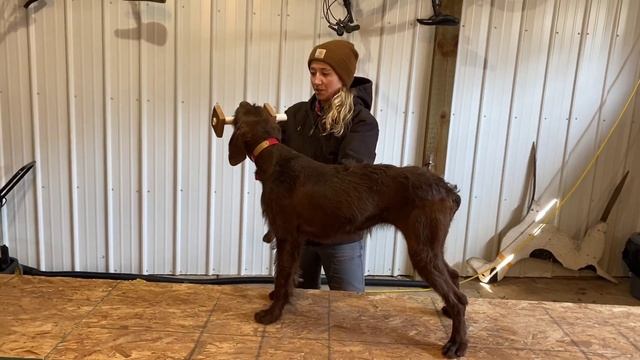 Force Breaking Made Simple смотреть онлайн