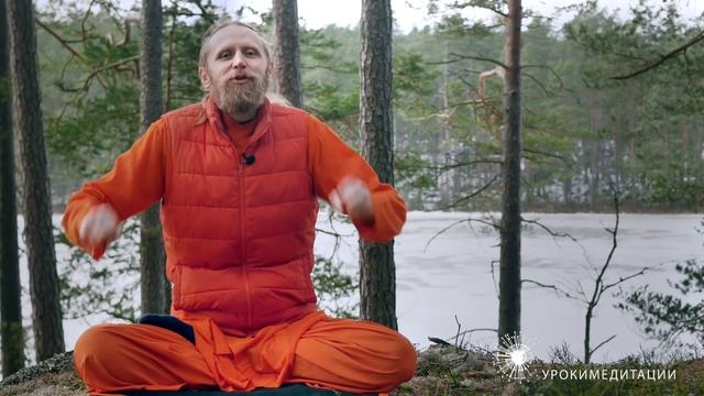 500 000 подписчиков Растем, как дерево баньян смотреть онлайн