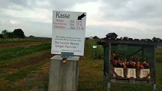 Культура Германии смотреть онлайн