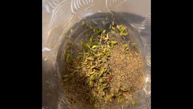 Рецепты здоровья