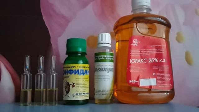 Чем травить клопов и тараканов. смотреть онлайн