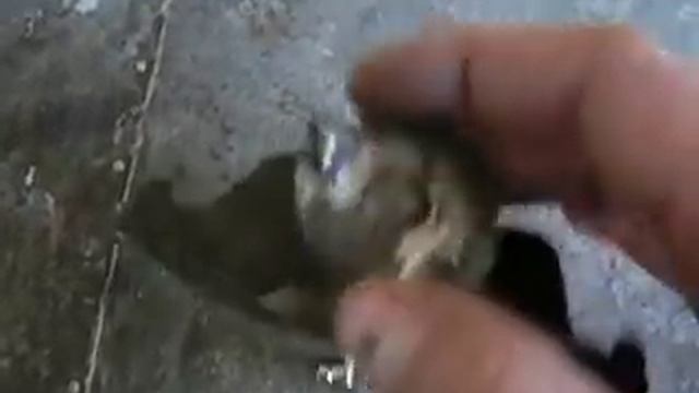 приспособление для сжатия (вкручивания) задних суппортов смотреть онлайн