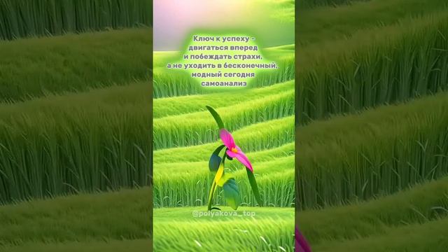 Выбор, это всегда трудно