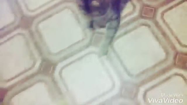 Домашний стол для всех 