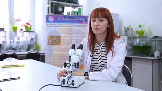 Крымские ученые сохраняют крымскую пчелу. Снимай науку 2.0