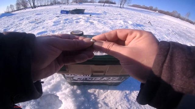 ЭТОТ? СПОСОБ☝️ ЗАСТАВИТ КЛЕВАТЬ ДАЖЕ ПАССИВНУЮ ФОРЕЛЬ! ЛОВЛЯ ФОРЕЛИ СО ЛЬДА В КОКИНО!✌️ смотреть онлайн
