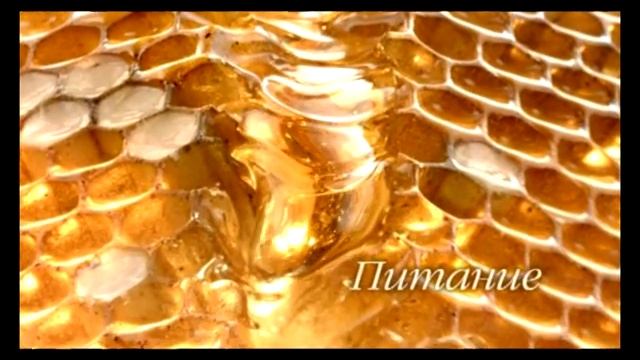 Сто Рецептов Красоты! Лифтинг смотреть онлайн