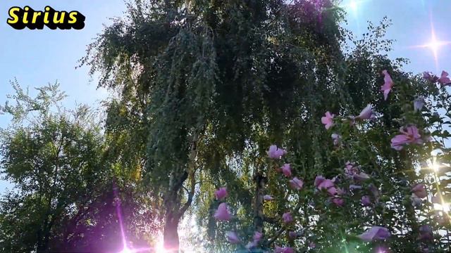 Деньги будут с помощью нужных посылов в Вашей жизни смотреть онлайн