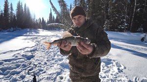 Рыбалка на таежной речке. Хариус на мормышку. Поездка на дальнюю избу с другом на снегоходе СМ-002.
