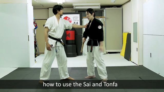 The Fundamentals And Practical Techniques Of Ryukyu Kobudo Sai And Tonfa