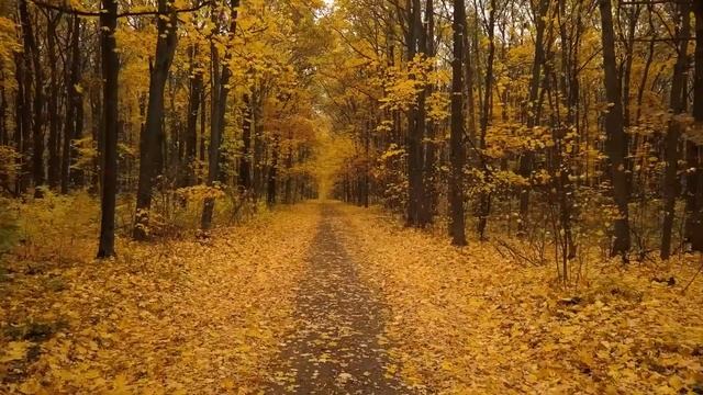 Все ваши заботы исчезнут, если вы послушаете эту музыку? Расслабляющая музыка успокаивает нервы смотреть онлайн