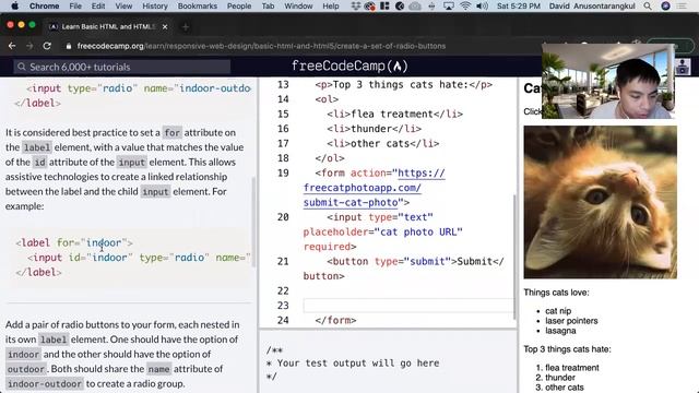 Create a Set of Radio Buttons (Basic HTML and HTML5) freeCodeCamp tutorial смотреть онлайн