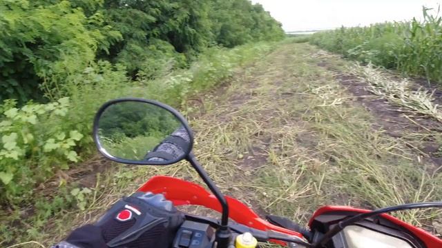 Loncin LX250SX2. Снова Днепровские поля, поля, поляя!)) смотреть онлайн