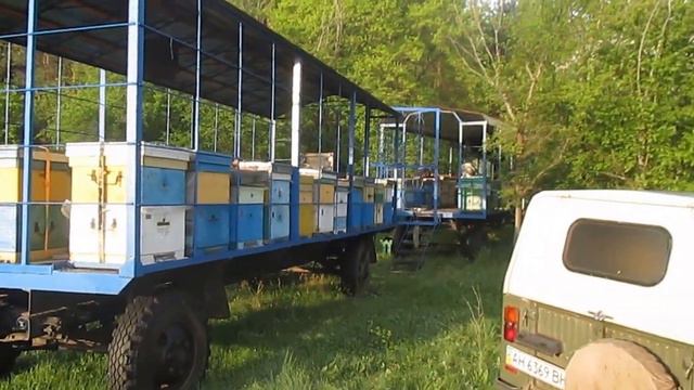 Кочевая пасека авч Просто красиво Точок в 6 часов утра смотреть онлайн