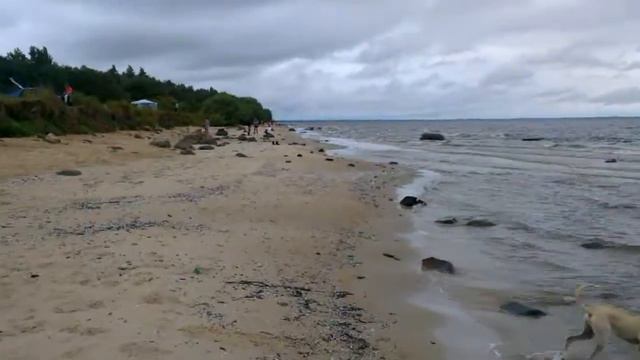 Рыбинское море водохранилище смотреть онлайн