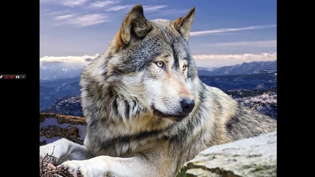 Презентация: 2 класс - Подведение темы! смотреть онлайн