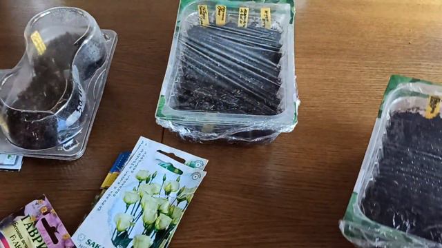 Что я посеяла в ноябре/ Выпады и всходы смотреть онлайн