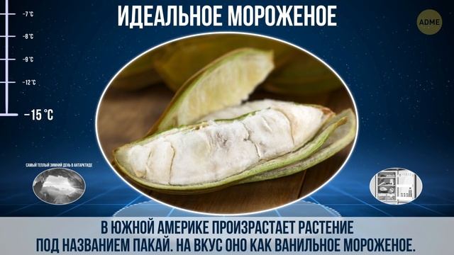 Сравнение самых холодных объектов смотреть онлайн