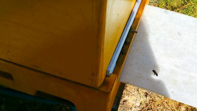 В Ярославской области, взяток продолжается! смотреть онлайн