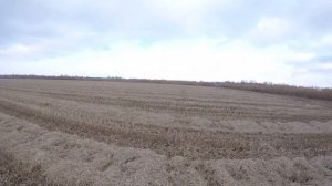 Охота на Зайца на Кубани 1 2022-2023г!!!