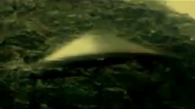 Болгария 2010 (UFO Bulgaria).mp4 смотреть онлайн