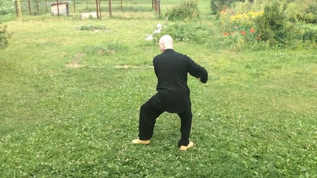 Чэньши Тайцзицюань. Позиция 3/83. Шесть печатей, четыре замка.